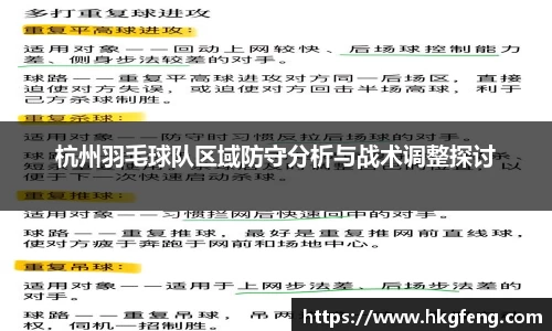 杭州羽毛球队区域防守分析与战术调整探讨